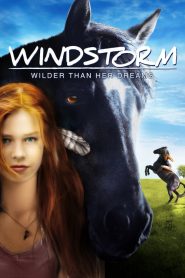 Windstorm (2013) – ταινία με ελληνικούς υπότιτλους